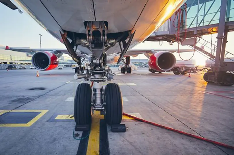 petair tiertransport kundenstimmen usa flugzeug perspektive