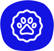 petair tiertransport icon hundepfote